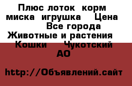 Плюс лоток, корм, миска, игрушка. › Цена ­ 50 - Все города Животные и растения » Кошки   . Чукотский АО